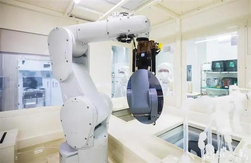 50億光刻機工廠落地引發全球關注，外媒 阻礙中國只會令其更強大